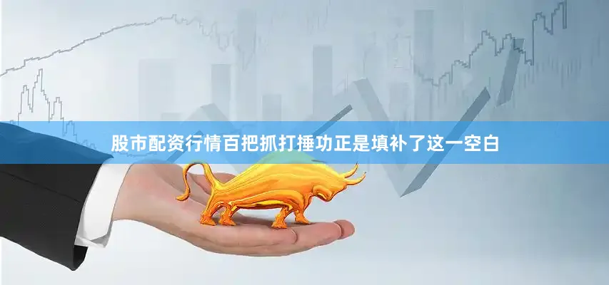 股市配资行情百把抓打捶功正是填补了这一空白