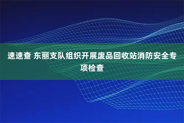 速速查 东丽支队组织开展废品回收站消防安全专项检查