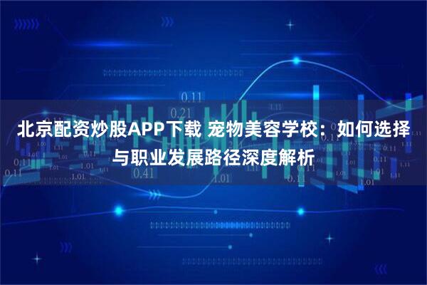 北京配资炒股APP下载 宠物美容学校：如何选择与职业发展路径深度解析