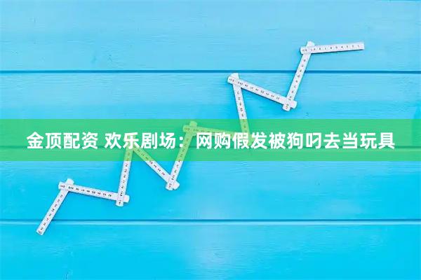 金顶配资 欢乐剧场：网购假发被狗叼去当玩具